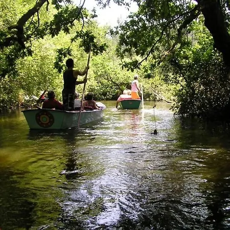 *villa Catalpas* Landaise, Renovee Avec Piscine * ليو